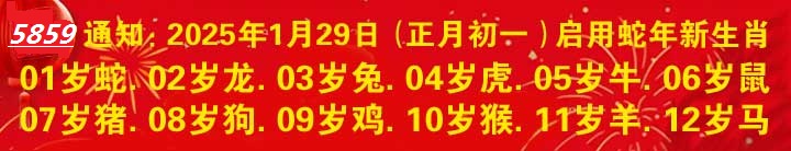 图片加载中..
